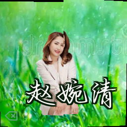 赵婉清